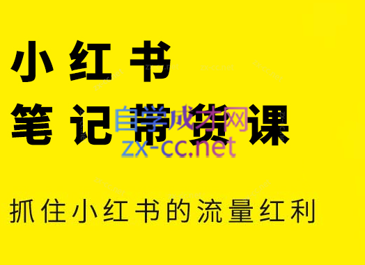 张宾·小红书笔记带货课(更新2026)-小艾项目网