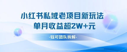 小红书私域项目新玩法,单月变现过W+-小艾项目网