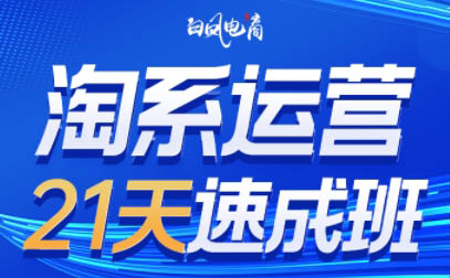 白凤电商·淘系运营21天速成班(更新2月)-小艾项目网