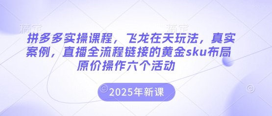 拼多多实操课程，飞龙在天玩法，真实案例，直播全流程链接的黄金sku布局原价操作六个活动-百盛轻创