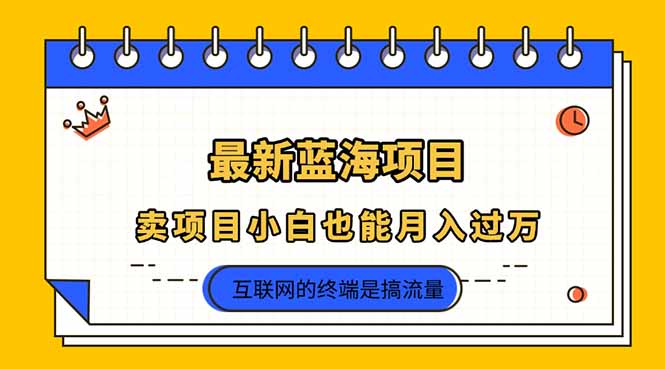 2025年最新蓝海项目，卖项目小白也能月入过万-小艾项目网