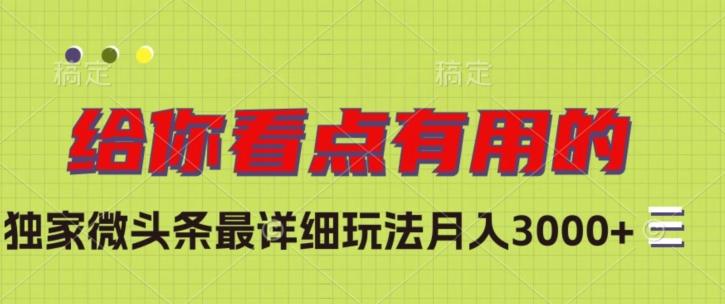 独家微头条最详细玩法，月入3000+【揭秘】-小艾项目网