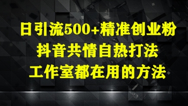 日引流500+精准创业粉，抖音共情自热打法，工作室都在用的方法-百盛轻创