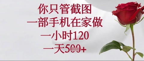 你只管截图，一部手机在家操作，一小时120.一天5张【揭秘】-百盛轻创