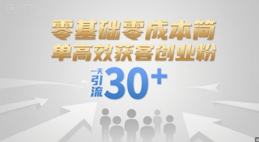 零基础零成本简单高效获客创业粉，一天引流30+-小艾项目网
