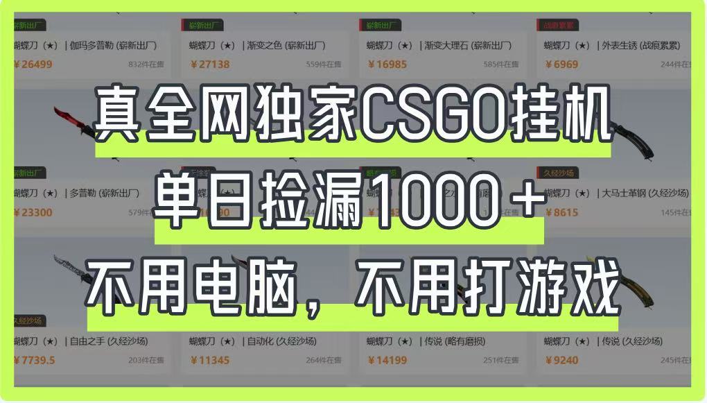 真全网独家CSGO挂机，单日捡漏1000+，不用电脑，不用养号-百盛轻创