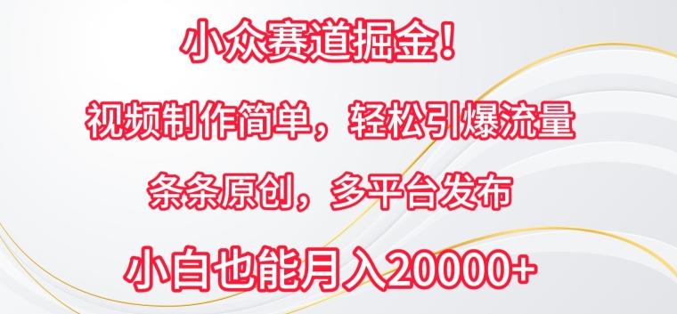 小众赛道掘金，视频制作简单，轻松引爆流量，条条原创，多平台发布【揭秘】-百盛轻创