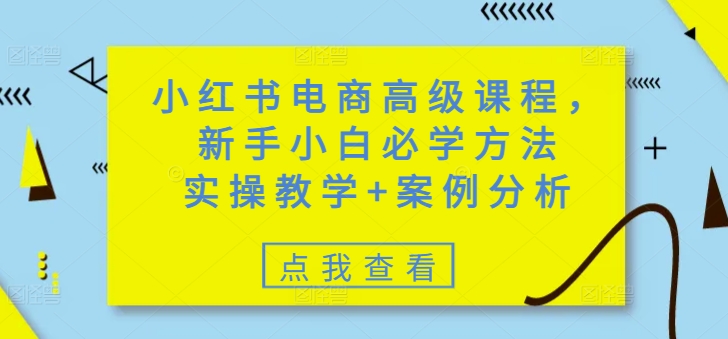 小红书电商高级课程，新手小白必学方法，实操教学+案例分析-百盛轻创
