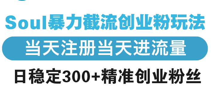 Soul暴力截流创业粉玩法，当天注册当天进流量，日稳定300+精准创业粉丝-百盛轻创