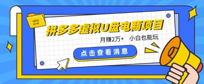 拼多多虚拟U盘电商红利项目：月赚2万+，新手小白也能玩-小艾项目网