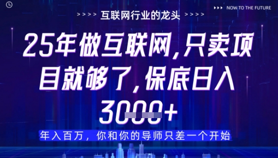 什么！25年你还在找项目做？风口早就变了，卖项目才是稳挣不赔【揭秘】-百盛轻创