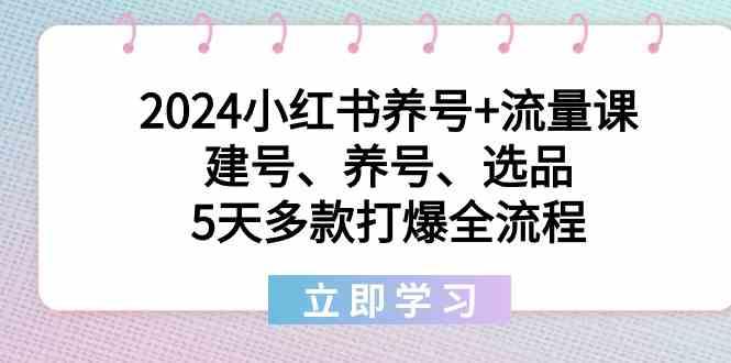 2024小红书养号+流量课：建号、养号、选品，5天多款打爆全流程-百盛轻创
