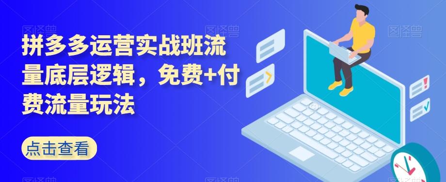 拼多多运营实战班流量底层逻辑，免费+付费流量玩法-小艾项目网