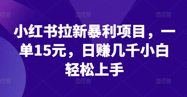 小红书拉新暴利项目，一单15元，日赚几千小白轻松上手【揭秘】-百盛轻创