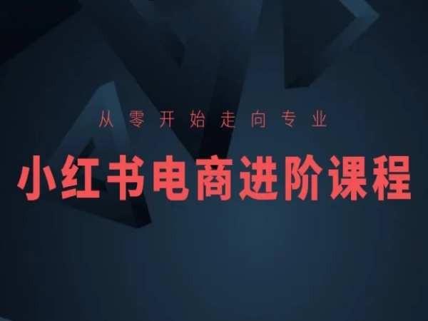 从零开始走向专业，小红书电商进阶课程-百盛轻创