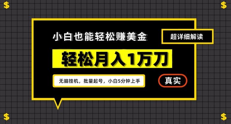谷歌看广告撸美金2.0，无脑挂机，多号操作，月入1万刀【揭秘】-小艾项目网