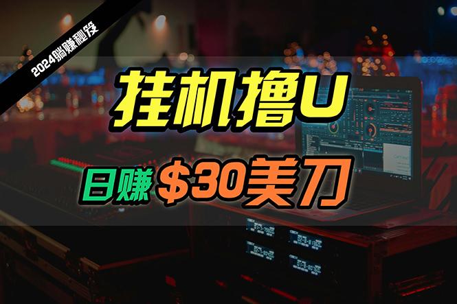 (10013期)日赚30美刀，2024最新海外挂机撸U内部项目，全程无人值守，可批量放大-百盛轻创