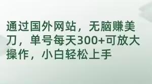 通过国外网站，无脑赚美刀，单号每天300+可放大操作，小白轻松上手【揭秘】-小艾项目网