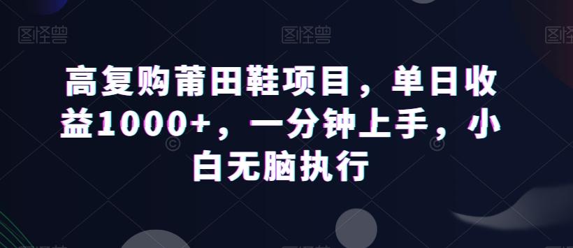 高复购莆田鞋项目，单日收益1000+，一分钟上手，小白无脑执行-百盛轻创