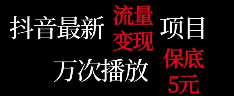抖音流量变现，万次播放保底5元，额外收入-百盛轻创