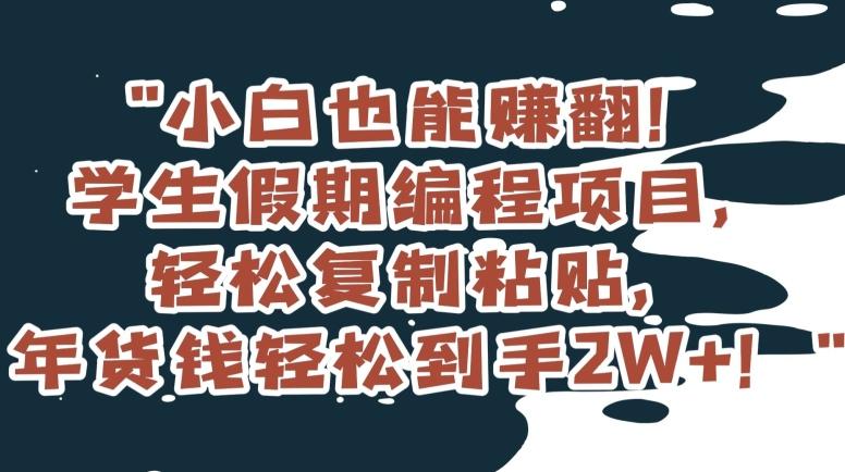 小白也能赚翻！学生假期编程项目，轻松复制粘贴，年货钱轻松到手2W+【揭秘】-百盛轻创