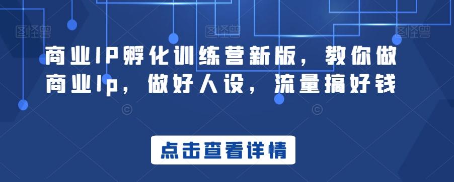 商业IP孵化训练营新版，教你做商业Ip，做好人设，流量搞好钱-百盛轻创