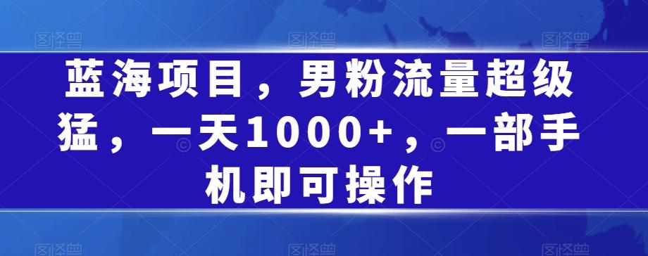 蓝海项目，男粉流量超级猛，一天1000+，一部手机即可操作【揭秘】-小艾项目网