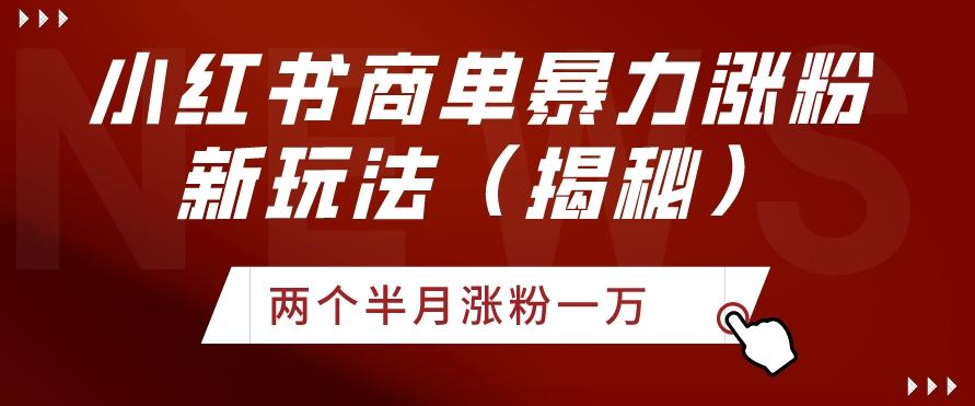 小红书商单暴力涨粉新玩法两个半月涨粉一万（揭秘）-百盛轻创