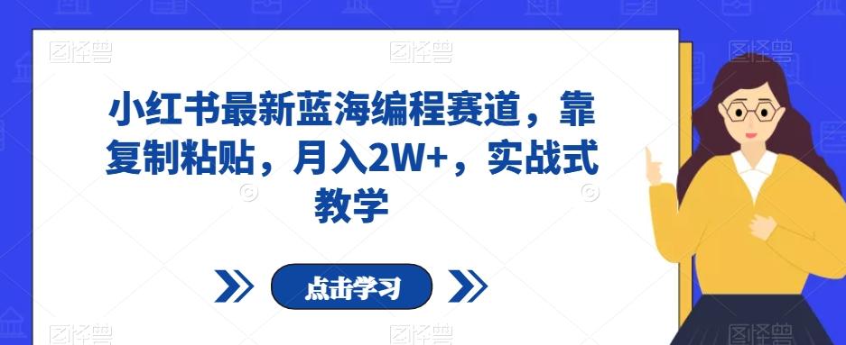 小红书最新蓝海编程赛道，靠复制粘贴，月入2W+，实战式教学【揭秘】-小艾项目网