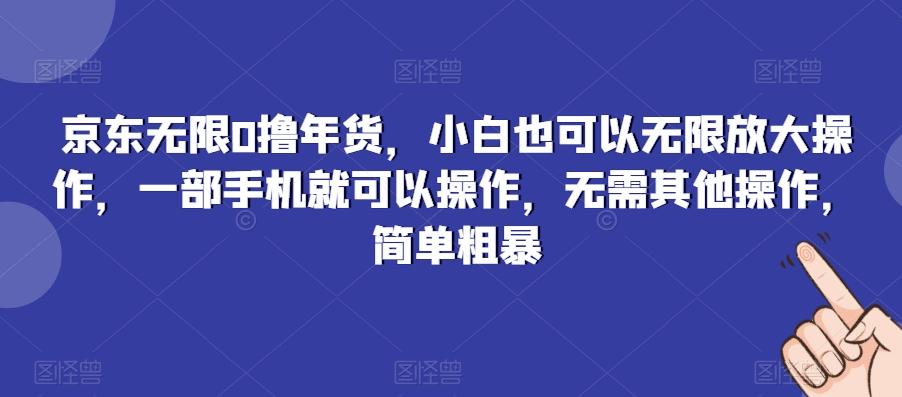 京东无限0撸年货，小白也可以无限放大操作，一部手机就可以操作，无需其他操作，简单粗暴-百盛轻创