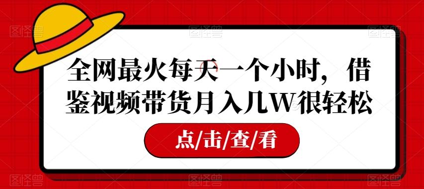 全网最火每天一个小时，借鉴视频带货月入几W很轻松【揭秘】-小艾项目网