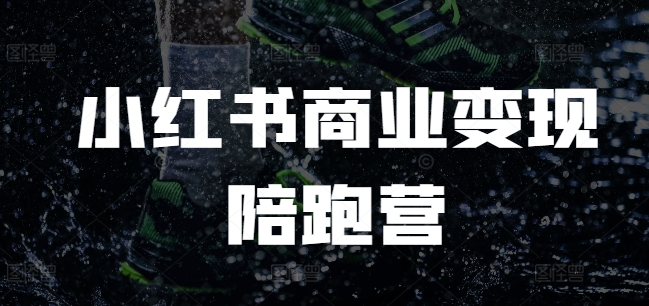 小红书商业变现陪跑营，小红书电商教程-百盛轻创