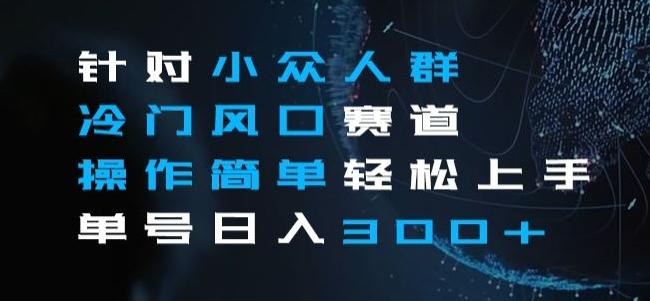 针对小众人群冷门风口赛道，操作简单轻松上手单号日入300+-小艾项目网