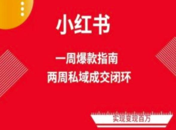 爆款小红书免费流量体系课程(两周变现)，小红书电商教程-百盛轻创