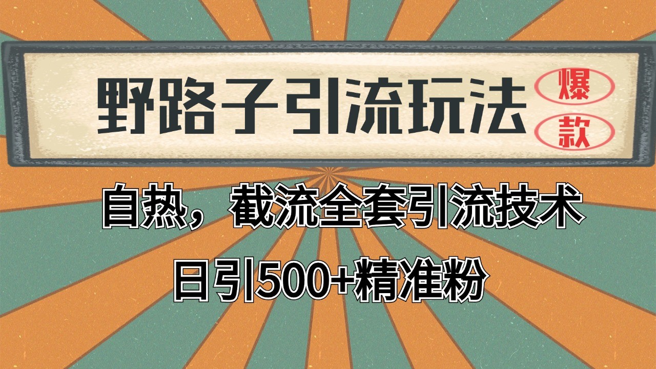 抖音小红书视频号全平台引流打法，全自动引流日引2000+精准客户-小艾项目网