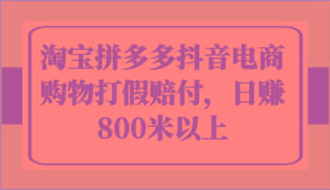 淘宝拼多多抖音电商购物打假赔付，日赚800米以上-百盛轻创