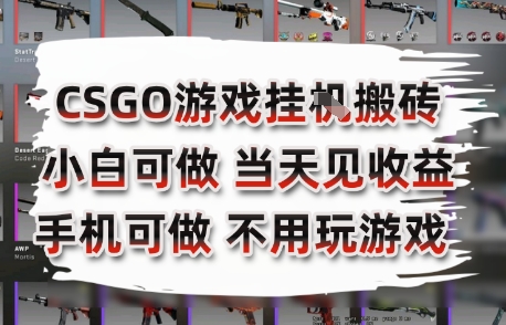 CSGO游戏挂G搬砖，小白纯手机即可操作，不用电脑打游戏，日入3张+，副业网创项目【揭秘】-百盛轻创