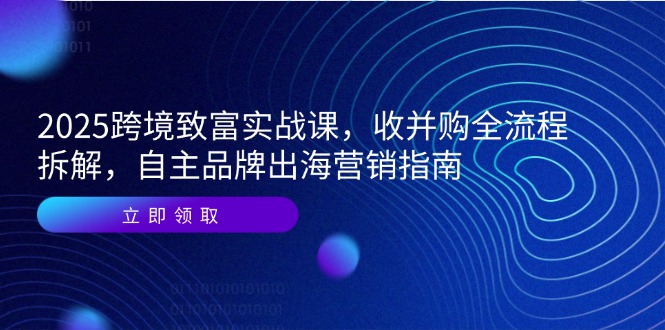 2025跨境致富实战课，收并购全流程拆解，自主品牌出海营销指南-百盛轻创