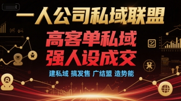 一人公司私域联盟，高客单私域，强人设成交，建私域 搞发售 广结盟 造势能-百盛轻创