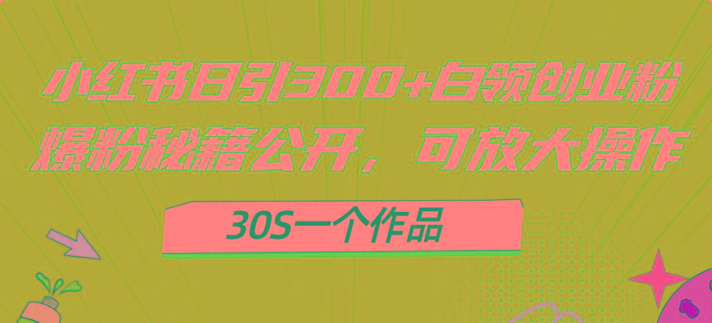 小红书日引300+高质白领创业粉，可放大操作，爆粉秘籍！30s一个作品-百盛轻创