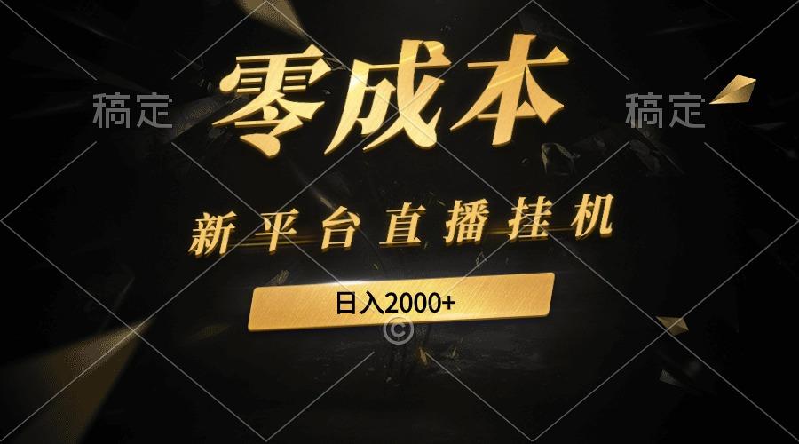 (9841期)新平台直播挂机最新玩法，0成本，不违规，日入2000+-小艾项目网