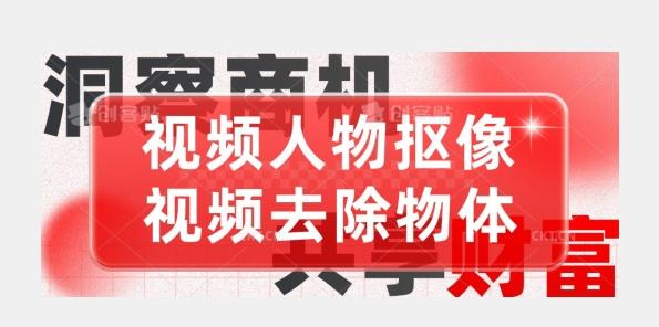 【超强视频处理工具】视频人物抠像+视频去除物体-百盛轻创