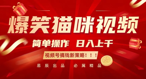 爆笑猫咪视频：简单操作，日入过K，视频号搞钱新策略【揭秘】-百盛轻创
