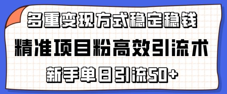 精准项目粉高效引流术，新手单日引流50+，多重变现方式稳定赚钱【揭秘】-百盛轻创