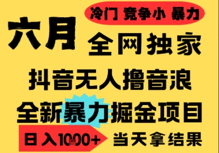 25年6月高爆抖音无人直播最新撸音浪掘金项目，小白可做，无脑日入1k+，门槛低可批量矩阵【揭秘】-小艾项目网