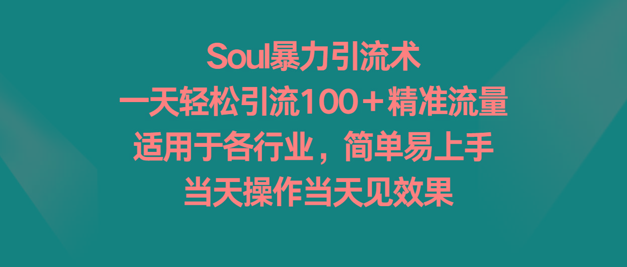 Soul暴力引流术，一天轻松引流100＋精准流量，适用于各行业，简单易上手！-小艾项目网
