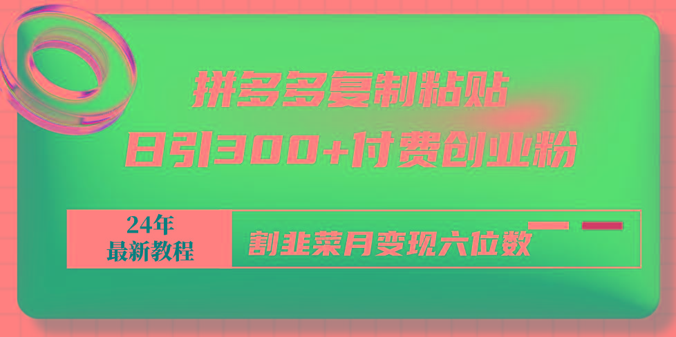 拼多多复制粘贴日引300+付费创业粉，割韭菜月变现六位数最新教程！-百盛轻创