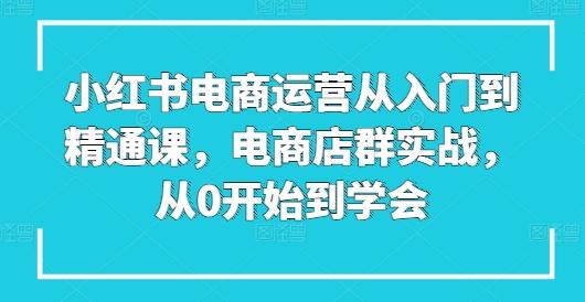 小红书电商运营从入门到精通课，电商店群实战，从0开始到学会-百盛轻创