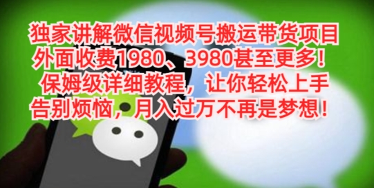 独家讲解微信视频号搬运带货项目，保姆级详细教程-百盛轻创