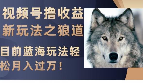 视频号撸收益新玩法之狼道，目前蓝海玩法，轻松月入过万【揭秘】-小艾项目网